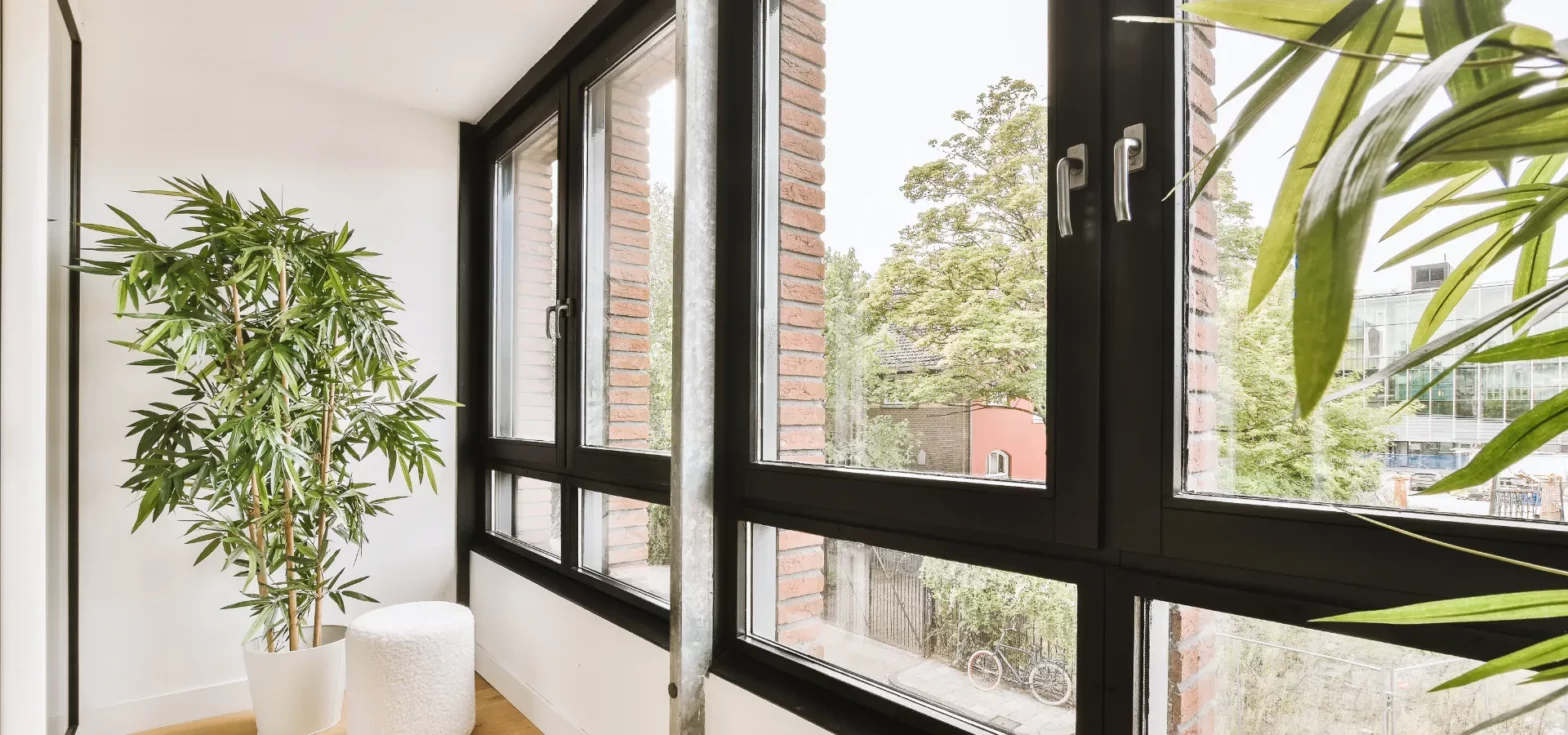 Choosing the Right Windows for My San Antonio House