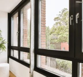 Choosing the Right Windows for My San Antonio House